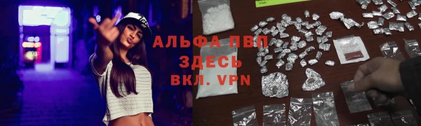 spice Абаза