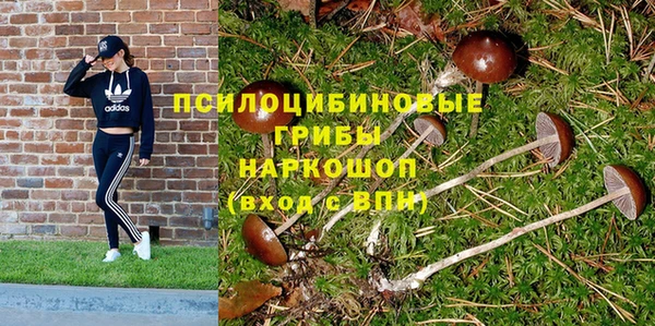 прущие грибы Алексеевка