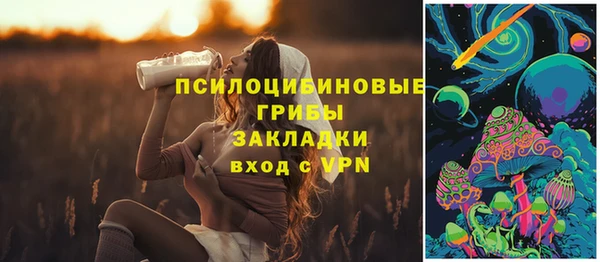 герыч Алзамай