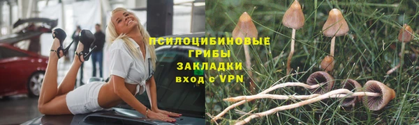 spice Абаза